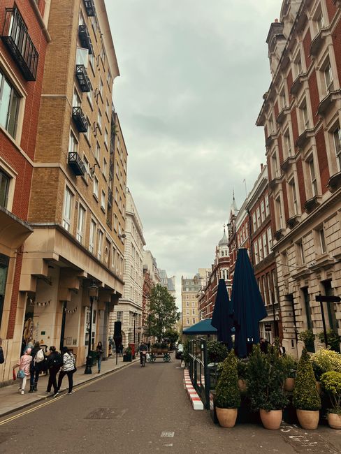 A city street scene showing a narrow urban road lined with multi-story buildings on both sides, featuring a mix of brick and stone facades with ornate architectural details and balconies with metal railings. The street is populated with pedestrians walking along the sidewalks, some carrying shopping bags or engaged in conversation. On the right side, there is an outdoor seating area with large navy blue umbrellas shading potted plants arranged in a row, including small shrubs and decorative topiary. The environment appears to be overcast, with a cloudy sky casting soft, diffused light over the scene. The street extends into the distance with a gentle curve, and a few cars are parked along the curb, indicating a busy, lively area typical of a central city location. The scene is quiet, with no visible rubbish or debris, and the overall atmosphere suggests a well-maintained urban environment, possibly suitable for walking and outside dining, with a backdrop that aligns with a high-end urban locality fulfilling personal waste removal or private collection needs.